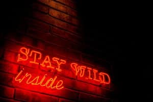 Retro Gaming Consoles: Building a Raspberry Pi Emulator