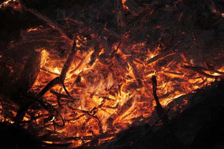 Disaster Tourism: Visiting Chernobyl, Fukushima, and Other Hot Zones