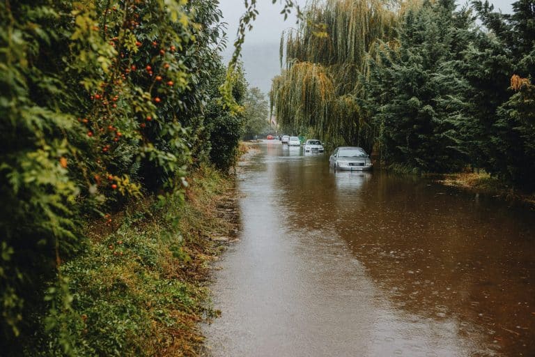 Flood Zone Flip Risks: Insuring Climate-Vulnerable Investments