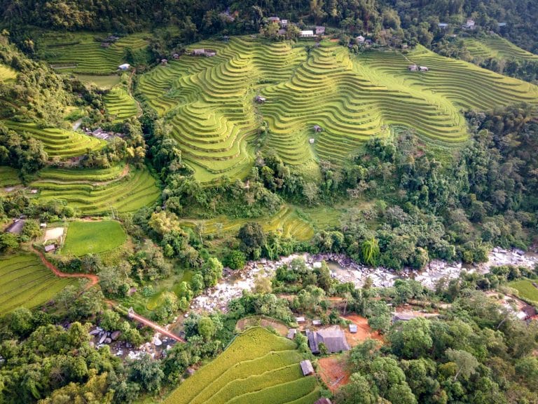 Drone Delivery Realities: When Will Packages Land in Your Yard?