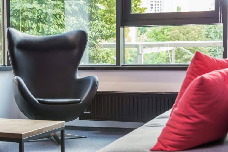 Tiny Home Villages: Affordable Housing or Trendy Gentrification?