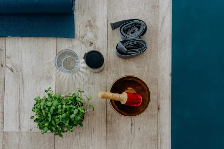 Biophilic Design: Homes That Boost Mental Health Through Nature