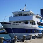 Luxury Cruises for Introverts: Avoiding Crowds on Mega-Ships