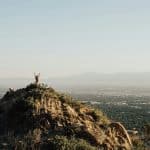 Top 5 Family-Friendly Vehicles of 2025