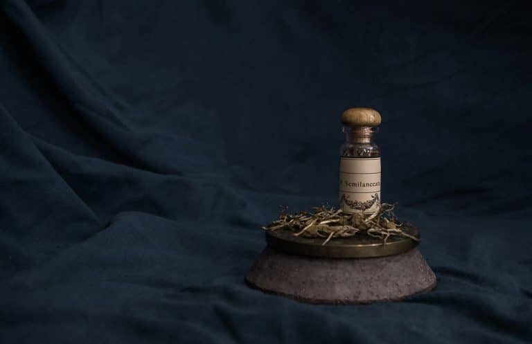 Legal Psychedelics: Navigating Shroom Dispensaries Legally
