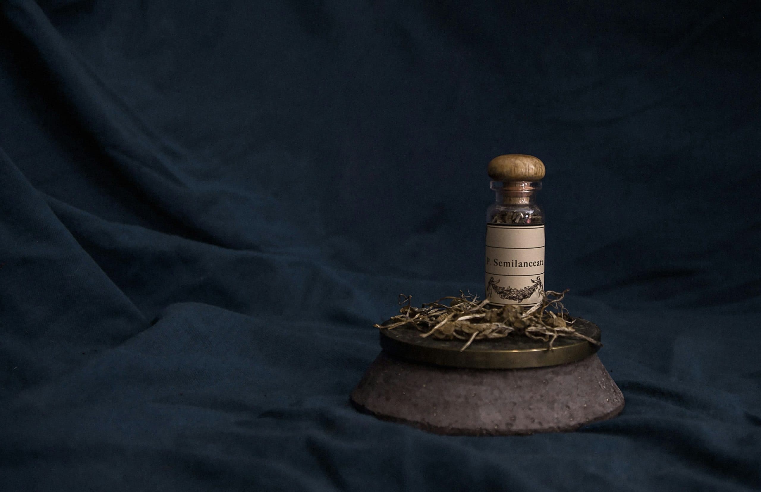 Legal Psychedelics: Navigating Shroom Dispensaries Legally