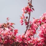 Scandinavian Minimalism vs. Maximalism: The Aesthetic Cold War