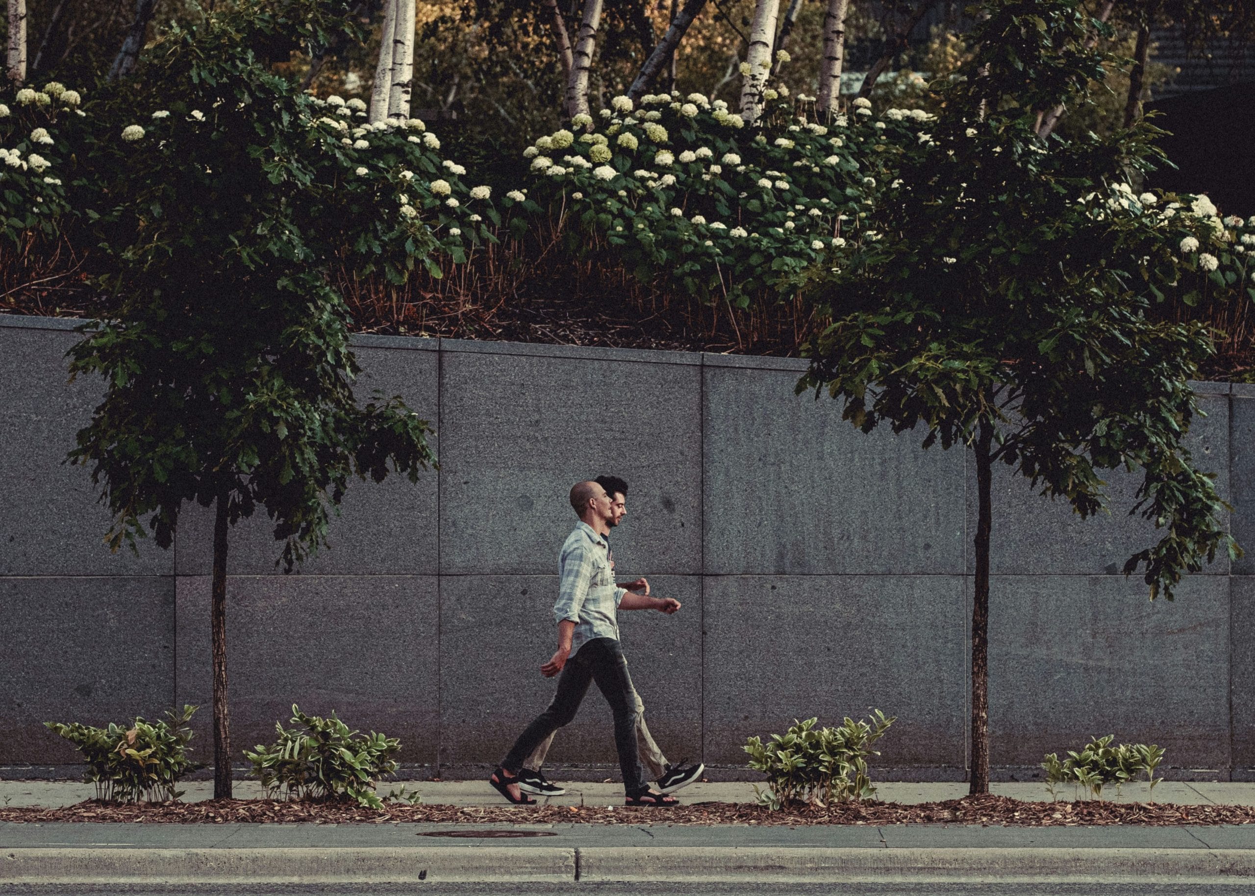 AI Career Coaches: Free Tools Outperforming Human Advisors