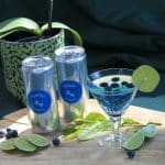 Adoption Rights for AI: Can Algorithms Be Legal Guardians?