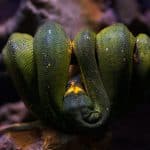 Divorce Mediation Myths: When "Amicable" Turns Toxic