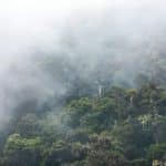 Overemployment Ethics: Balancing Multiple Remote Roles